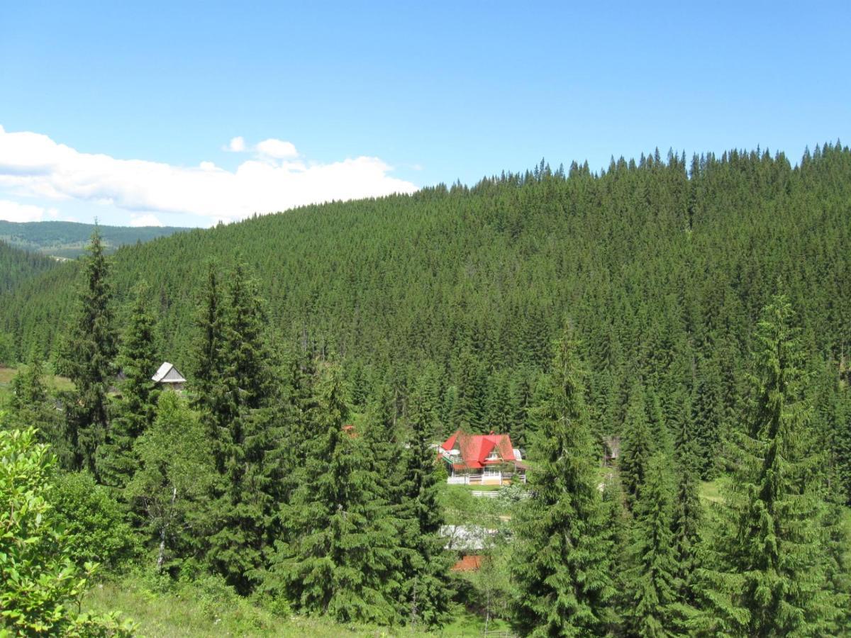 Podina Guest House Poiana Horea Εξωτερικό φωτογραφία