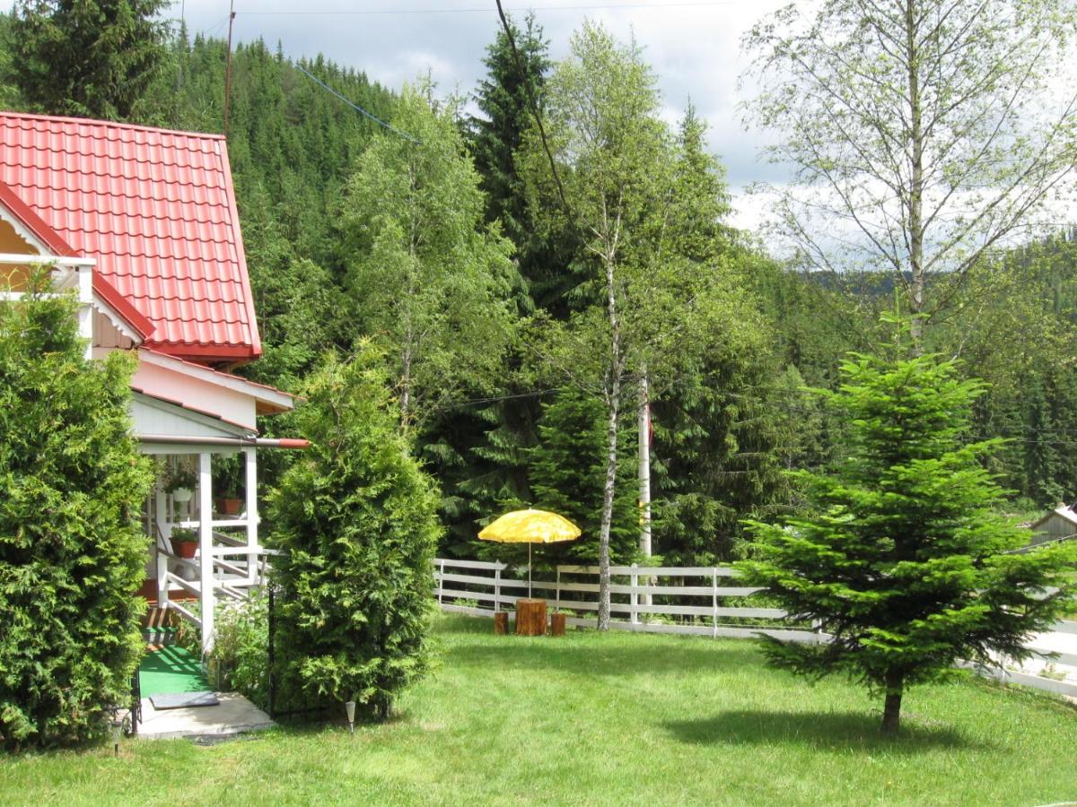 Podina Guest House Poiana Horea Εξωτερικό φωτογραφία