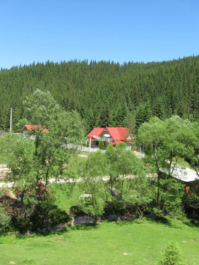 Podina Guest House Poiana Horea Εξωτερικό φωτογραφία