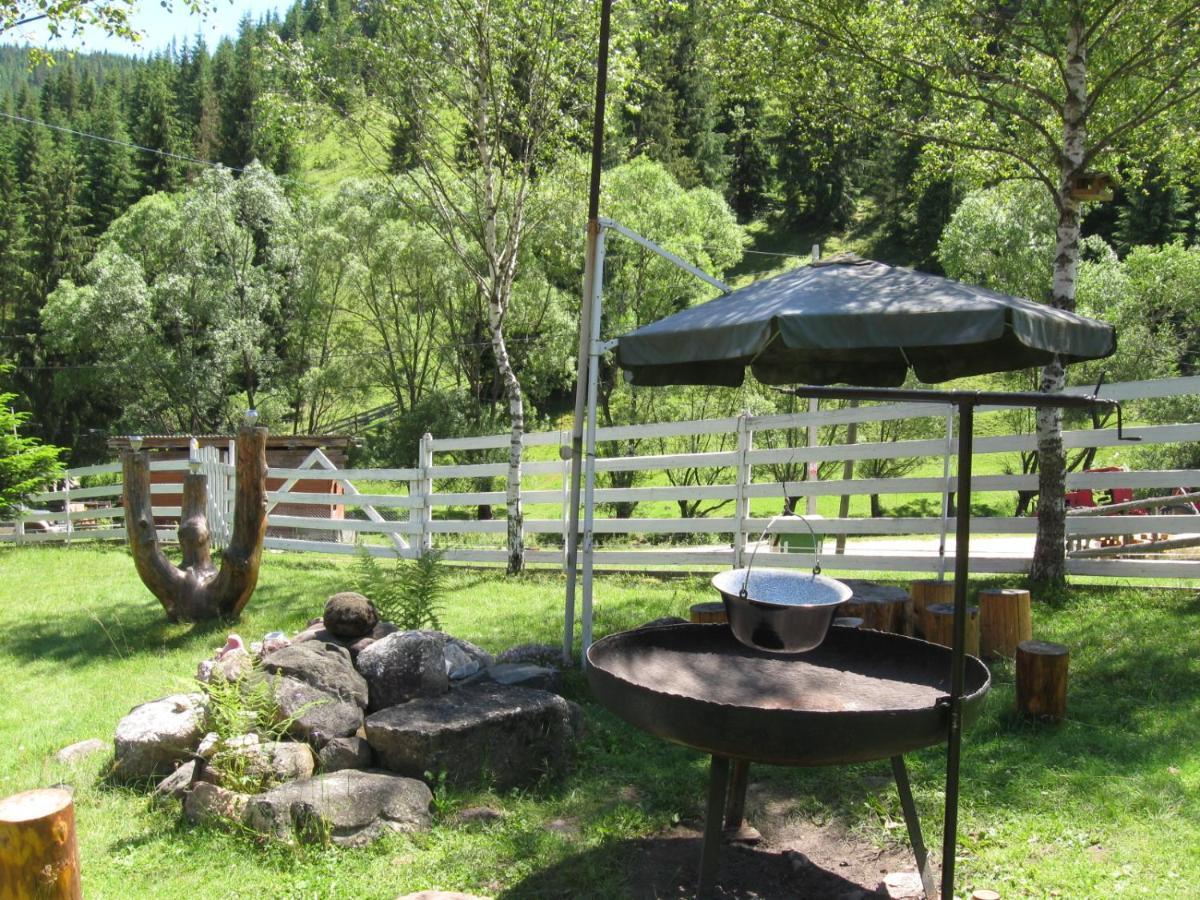 Podina Guest House Poiana Horea Εξωτερικό φωτογραφία