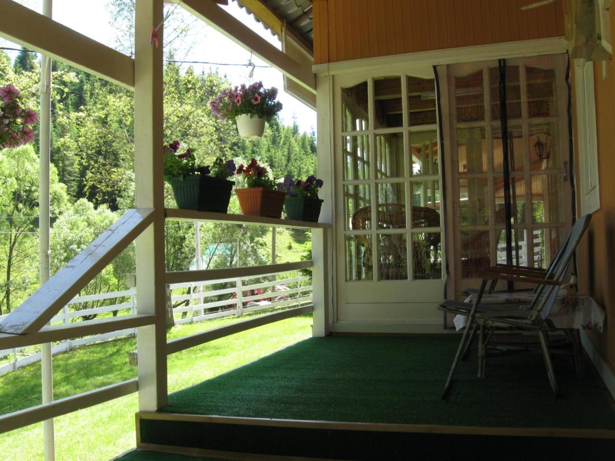Podina Guest House Poiana Horea Εξωτερικό φωτογραφία