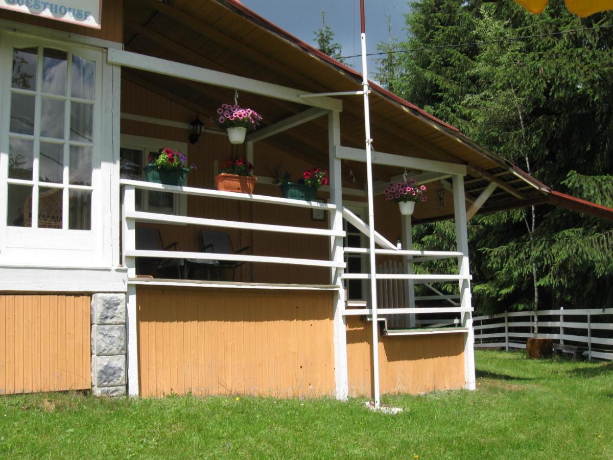 Podina Guest House Poiana Horea Εξωτερικό φωτογραφία