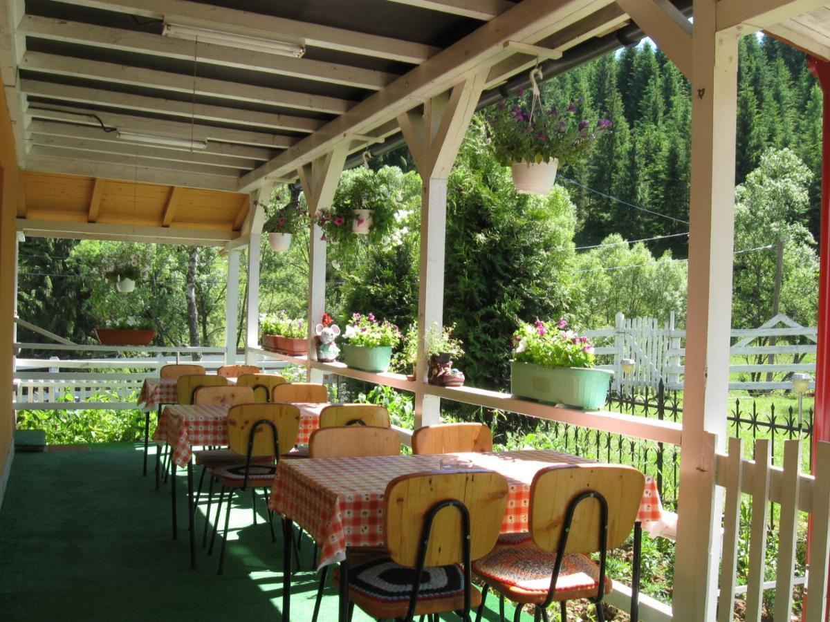 Podina Guest House Poiana Horea Εξωτερικό φωτογραφία
