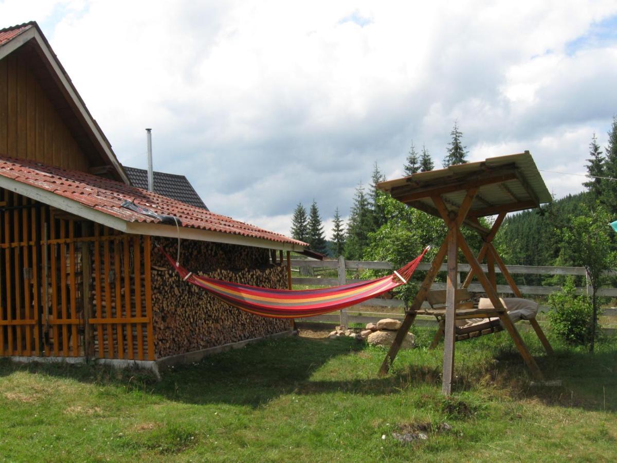 Podina Guest House Poiana Horea Εξωτερικό φωτογραφία